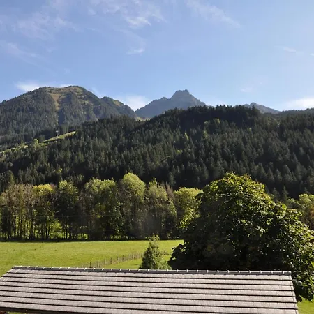 Ecureuils 8 - Chamroc Immobilier